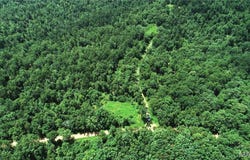 000 Bidwell Creek Rd., Womack, MO 63645