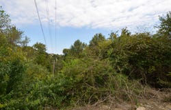 886 River Hill Drive, Richmond, KY 40475