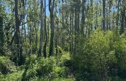 TBD NW CR 143, Jennings, FL 32053