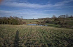 S Farm Road 11, Ash Grove, MO 65604