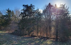 123 Lynwood Drive, Williamstown, KY 41097