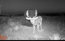 397 County Road 160, Southland, TX 79364