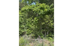 139 David Cove, Byhalia, MS 38611
