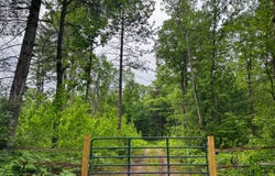 00 Millerton Road, Branch, MI 49402