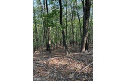 699 CHICKLOON LANE, GREAT CACAPON, WV 25422