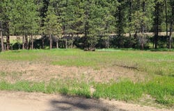 Scenic View Dr., Lowman, ID 83637-0000