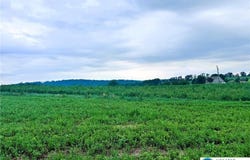 66 Long Road, Greenwich Twp, PA 19534