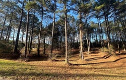 Timber Ridge Drive, Laurel, MS 39443
