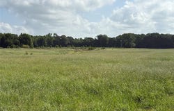 Tbd CR 2120, Talco, TX 75487