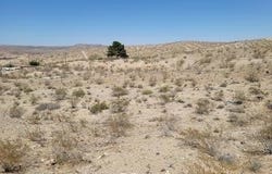 8 Henderson Street, Barstow, CA 92311