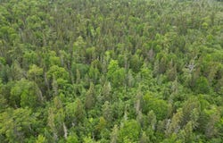 TBD Off EE.25, Rapid River, MI 49878