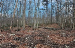 Lot 3 BROWN BEAR TRAIL, BLOOMERY, WV 26817