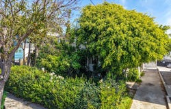 238 Bicknell, Santa Monica, CA 90405