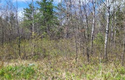 TOWER LINE Road, BEECHER, WI 54156