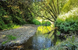 53856 BIG CREEK RD, Myrtle Point, OR 97458
