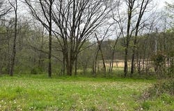 101 County Road 389, Whitewater, MO 63785