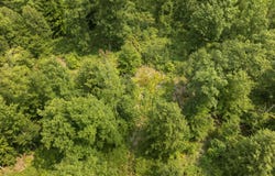 S Thompsonville Highway, Thompsonville, MI 49683