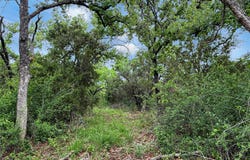 Hoahway Drive, Mingus, TX 76463