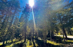 Calle de los Indios lot: 71, Angel Fire, NM 87710
