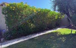 1665 S La Reina Way, Palm Springs, CA 92264
