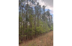 Valley Rescue Mission Road lot: 202, Hamilton, GA 31811