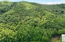 Dobyns Rd, Stuart, VA 24171
