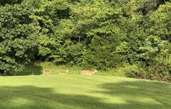169 Barrett Lane, Berea, KY 40403