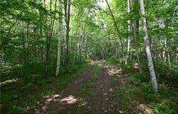 Xxx Railroad Road, Lake Nebagamon, WI 54849