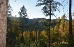 401 Vitzthum  Gulch Rd, Douglas City, CA 96024