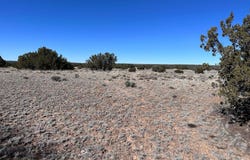 004q N N7204, St. Johns, AZ 85936