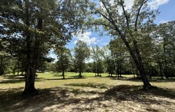 5573 County Road 1, Chatom, AL 36518