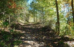 1687 Coffee Creek Way, West Liberty, KY 41472
