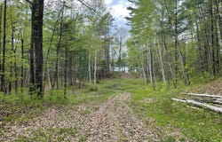 Lot 3 MITTEN LAKE RD, Lac du Flambeau, WI 54538