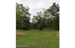 Hwy 51, Hazlehurst, MS 39083