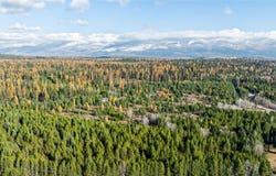 226 Lupfer Road, Whitefish, MT 59937
