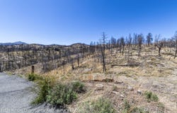 126 Cliffside Road lot: 14, Ruidoso, NM 88345