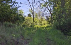 40 Acre Lot Walnut Lane, Richland Center, WI 53581