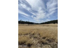 Lot E Forest Road 26, Alpine, AZ 85920
