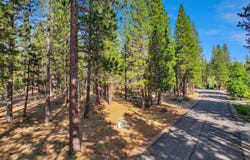 181 Quail View Circle, Clio, CA 96106-0000