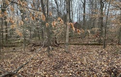 0 Lot 8g University Parkway, Rural Hall, NC 27045