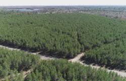 Parcel 1 Rice Lake, Gwinn, MI 49841