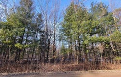 1090 Frank Street, Beaverton, MI 48612