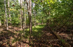 Golf Course Rd lot: 14 & 38, Spencer, VA 24165