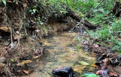 975 CEIBA , BO RIO ABAJO, CEIBA, 00735