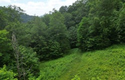 Lot 117 Sunset Mountain Village, Slatyfork, WV 26294