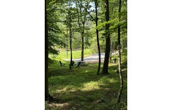6043 Kyles Ford (23 acres) Highway, Kyles Ford, TN 37765
