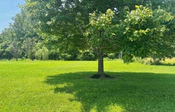 Private Drive 123, Proctorville, OH 45669
