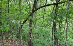 13 Monroe Road 647, Santa Fe, MO 65282