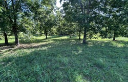 Willis Cotton Road, Summit, MS 39666