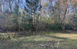 Crawfish Road, Chattahoochee, FL 32324
